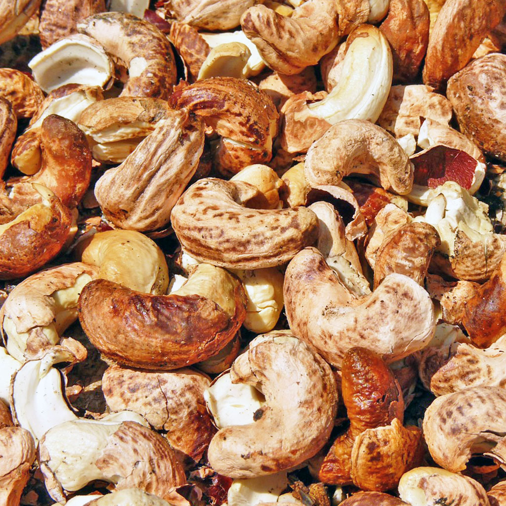 Day Roasted & Flavored Cashews